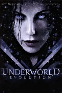 Poster to the movie "Underworld: Evolution" #83184