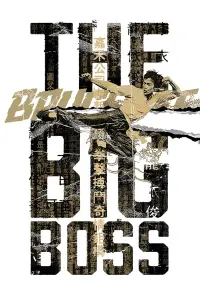 Poster to the movie "The Big Boss" #91132