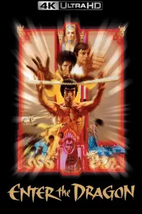 Poster to the movie "Enter the Dragon" #66005