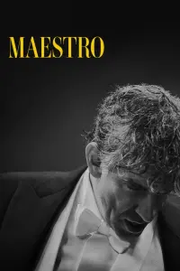 Poster to the movie "Maestro" #100341