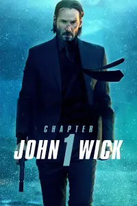 Poster to the movie "John Wick" #51549