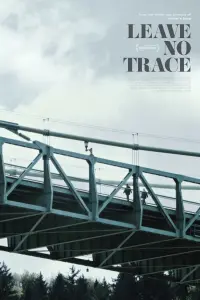 Poster to the movie "Leave No Trace" #263251