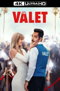 Poster to the movie "The Valet" #77866