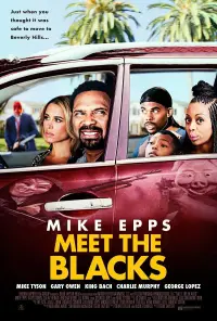 Poster to the movie "Meet the Blacks" #344199