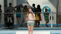 Backdrop to the movie "Dolphin Tale 2" #456640