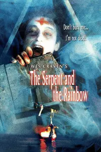 Poster to the movie "The Serpent and the Rainbow" #111952