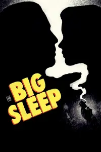 Poster to the movie "The Big Sleep" #126281