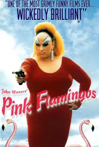 Poster to the movie "Pink Flamingos" #296585