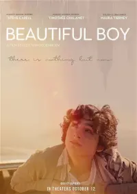 Poster to the movie "Beautiful Boy" #489302