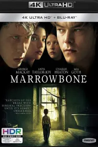 Poster to the movie "Marrowbone" #99793