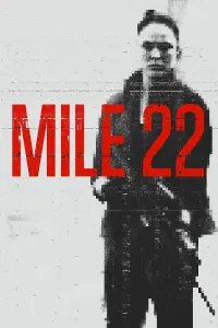 Poster to the movie "Mile 22" #63757