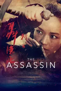 Poster to the movie "The Assassin" #283723