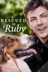 Poster to the movie "Rescued by Ruby" #97995