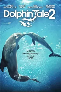 Poster to the movie "Dolphin Tale 2" #143897