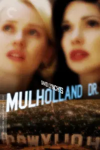 Poster to the movie "Mulholland Drive" #34991