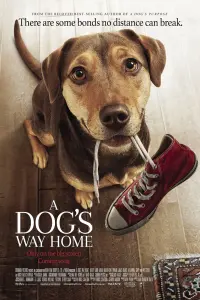 Poster to the movie "A Dog