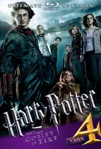 Poster to the movie "Harry Potter and the Goblet of Fire" #7808