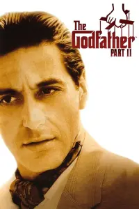 Poster to the movie "The Godfather Part II" #22717