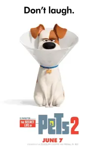 Poster to the movie "The Secret Life of Pets 2" #32682