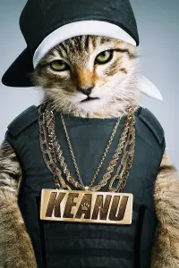 Poster to the movie "Keanu" #305463