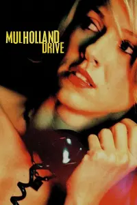 Poster to the movie "Mulholland Drive" #185702