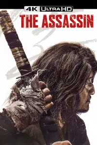 Poster to the movie "The Assassin" #650270