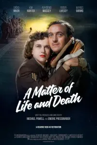 Poster to the movie "A Matter of Life and Death" #201246