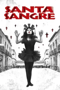 Poster to the movie "Santa Sangre" #239468