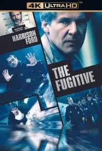 Poster to the movie "The Fugitive" #70095