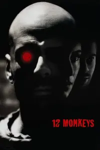 Poster to the movie "Twelve Monkeys" #24327