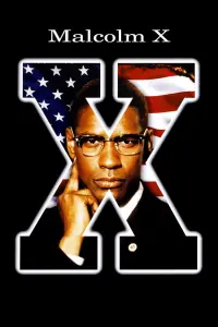 Poster to the movie "Malcolm X" #112568