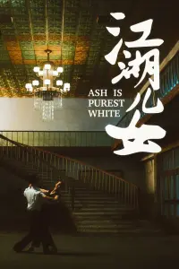 Poster to the movie "Ash Is Purest White" #355120