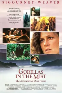 Poster to the movie "Gorillas in the Mist" #250090