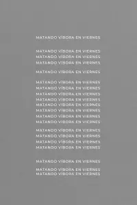 Poster to the movie "Matando Víbora En Viernes" #669288