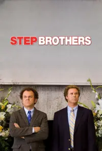 Poster to the movie "Step Brothers" #279392