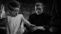 Backdrop to the movie "The Bride of Frankenstein" #211096