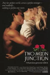 Poster to the movie "Two Moon Junction" #328257