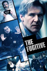 Poster to the movie "The Fugitive" #70085