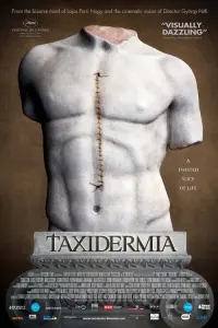 Poster to the movie "Taxidermia" #135639