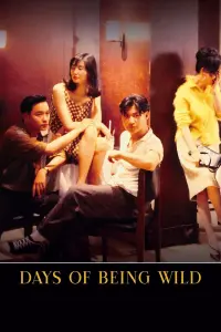 Poster to the movie "Days of Being Wild" #144106