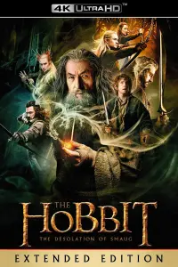 Poster to the movie "The Hobbit: The Desolation of Smaug" #16183