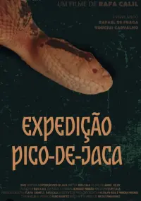 Poster to the movie "Expedição Pico-De-Jaca" #658487