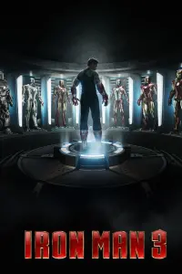 Poster to the movie "Iron Man 3" #21335