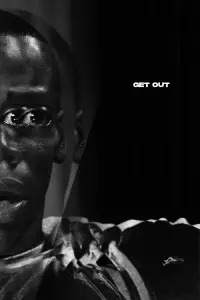 Poster to the movie "Get Out" #49617