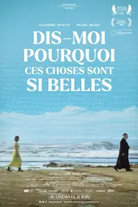 Poster to the movie "Dis-moi pourquoi ces choses sont si belles" #484480