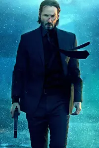 Poster to the movie "John Wick" #216566