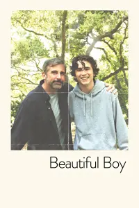 Poster to the movie "Beautiful Boy" #98533