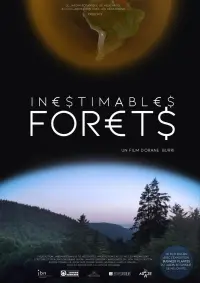 Poster to the movie "Inestimables forêts" #569497