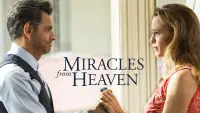 Backdrop to the movie "Miracles from Heaven" #52173