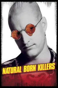 Poster to the movie "Natural Born Killers" #80001